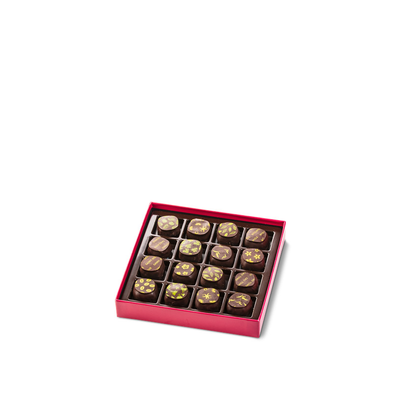 Coffret Initiation 16 chocolats noirs Hover