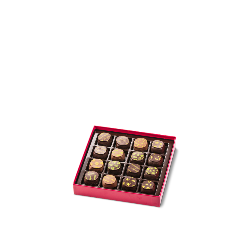 Coffret Initiation 16 chocolats noirs et lait Hover