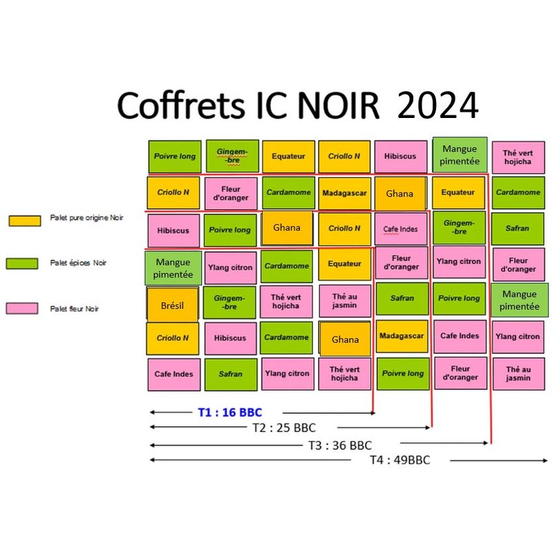 Coffret Initiation 49 chocolats noirs Hover