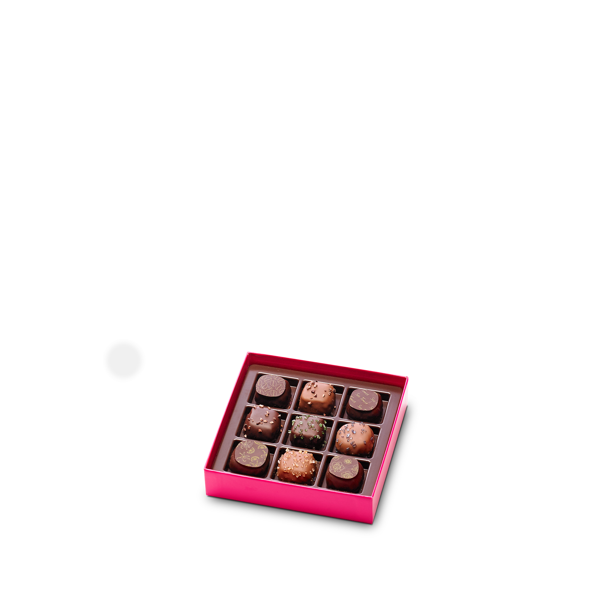 Coffret Initiation 9 chocolats noirs et lait Hover