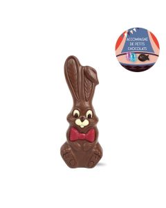 Monsieur Lapin - chocolat au lait